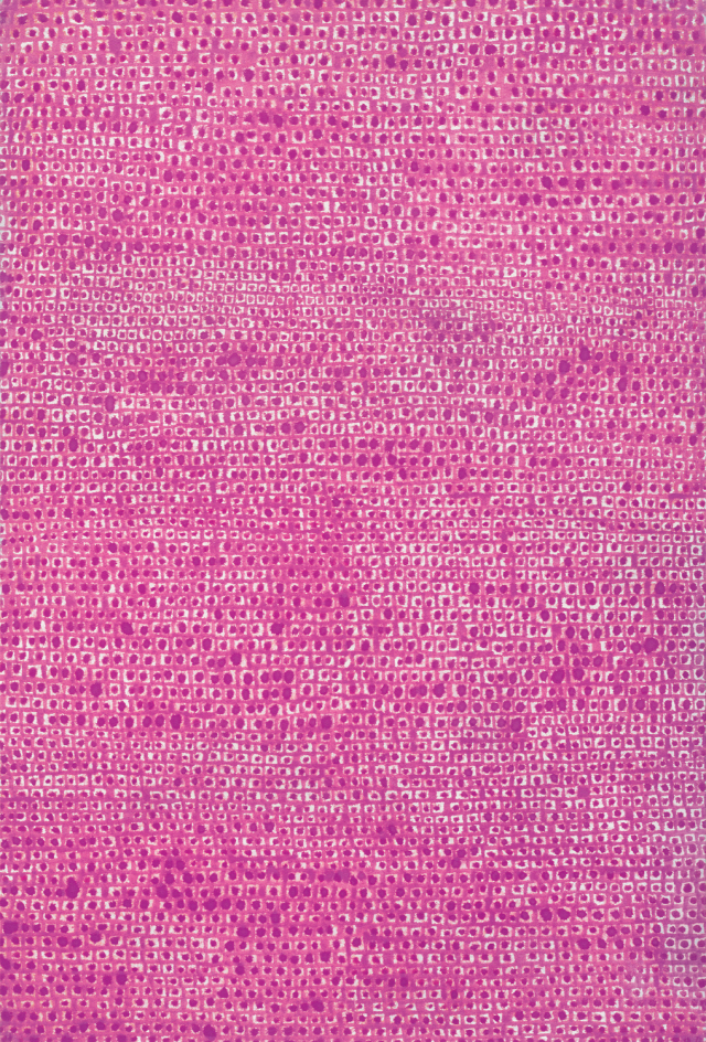 김환기 ‘14-Ⅶ-70 #180’. 희귀한 분홍색 전면점화로 추정가는 18억~30억원이다. /사진제공=케이옥션