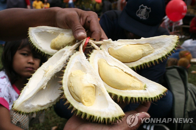 2018년 2월 11일 인도네시아 동자바 주 좀방 지역에서 열린 두리안 축제에서 한 남성이 두리안 열매를 들어보이고 있다./연합뉴스