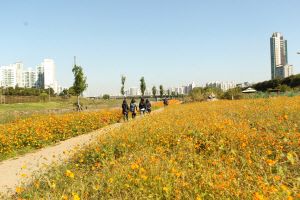 구로구민들이 안양천을 산책하고 있다./사진제공=구로구