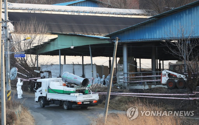 28일 오후 구제역 의심 신고가 접수된 경기도 안성시의 한 젖소 농가에서 방역 관계자들이 현장을 통제하고 있다./연합뉴스