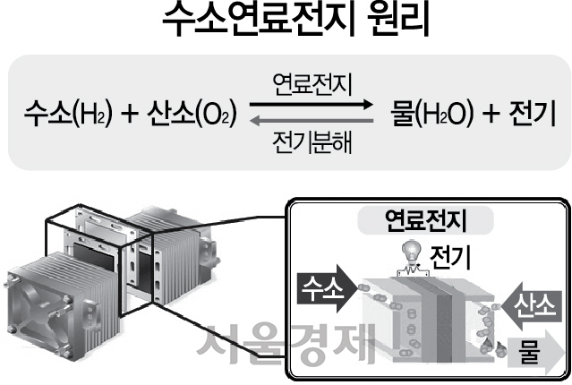 3115A16 수소연료전지 원리