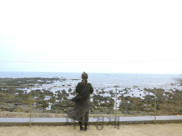카페 ‘서연의 집’을 찾은 여행객이 옥상정원의 테라스에서 바다 풍경을 감상하고 있다.