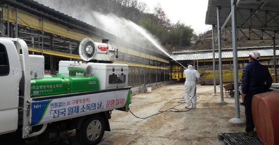 농협전남지역본부가 지난 7일 전남 광양의 한 축산 농가에서 구제역을 막기 위해 소독작업을 하고 있다. /광양=연합뉴스