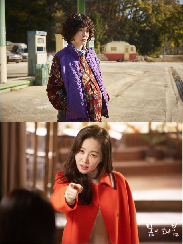 영화 ‘기묘한 가족’ 스틸(위), MBC 수목드라마 ‘봄이 오나 봄’ (아래)