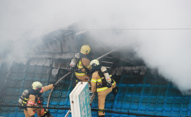 15일 오전 서울 동대문구 청량리농수산물시장에서 화재가 발생해 소방대원들이 진화 작업을 벌이고 있다./연합뉴스