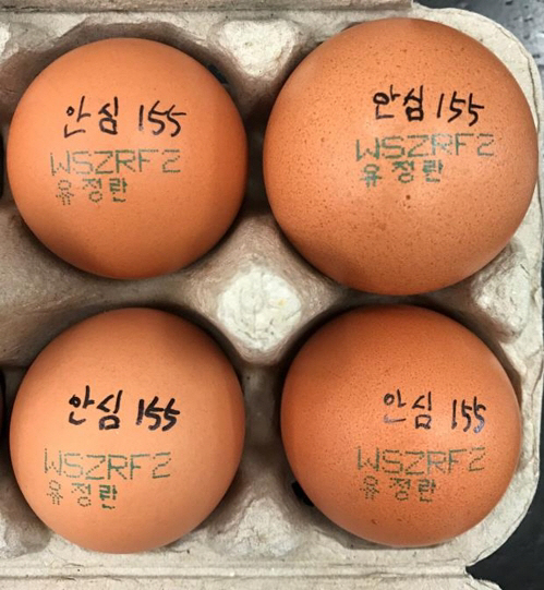 항생제 성분이 검출된 회수 대상 계란/제주도 제공