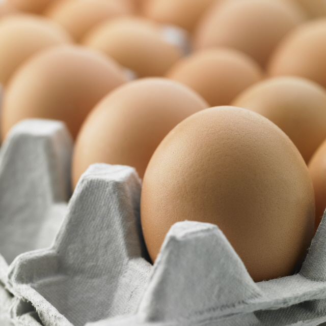 소비자에게 달걀 생산날짜 정보를 제공하기 위해 이달 23일부터 달걀 껍데기에 산란일자가 표시된다고 식품의약안전처는 20일 밝혔다. /이미지투데이