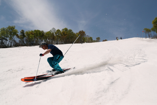 롯데아라이리조트에서 스키어가 ‘봄 스키’를 즐기는 모습./사진제공=롯데호텔