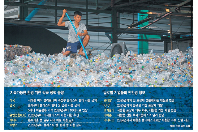 태국 방콕에서 한 노동자가 산더미처럼 쌓여 있는 플라스틱 폐기물을 분류하는 작업을 벌이고 있다.   /EPA연합뉴스