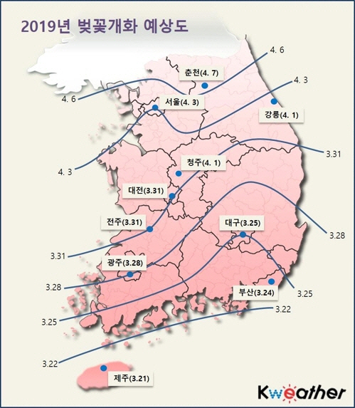 2019 벚꽃 개화 예상도/케이웨더 제공