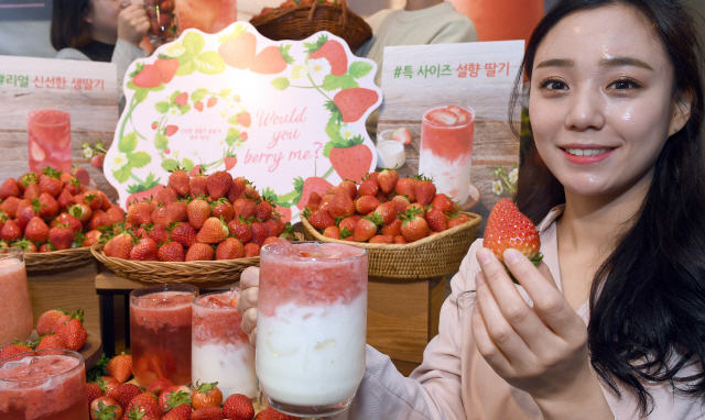 4일 오전 서울 중구 스타벅스 한국프레스센터점에서 모델들이 생딸기를 활용한 음료 3종을 선보이고 있다. 스타벅스는 딸기 시즌을 맞아 ‘봄 딸기 라떼’, ‘딸기 유스베리 티’, ‘딸기 파인 주스’ 등을 오는 5일 부터 선보인다./이호재기자.