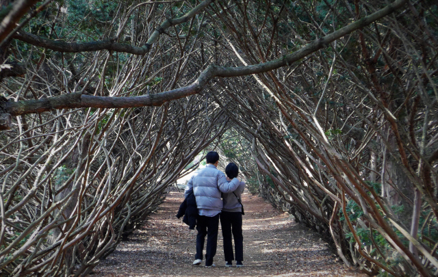 ‘벽초지 문화 수목원’을 찾은 연인이 영화 ‘아가씨’ 촬영지인 장수 주목 터널에서 함께 찍은 사진을 보고 있다.
