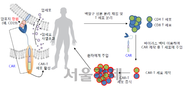 [SEN]앱클론, 혈액암 CAR-T 치료제 임상후보물질 개발 성공