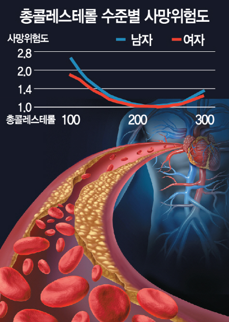 총콜레스테롤 '210~249㎎/㎗', 중장년층 사망 위험 가장 낮다