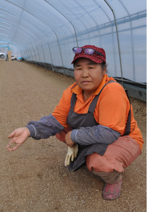 충남 공주시 쌍신동에서 만난 농민 이만주씨가 쌍신뜰 내 자신의 비닐하우스에서 지속된 겨울·봄 가뭄에 말라버린 흙을 들어보이며 봄농사를 걱정하고 있다. /공주=박희윤기자