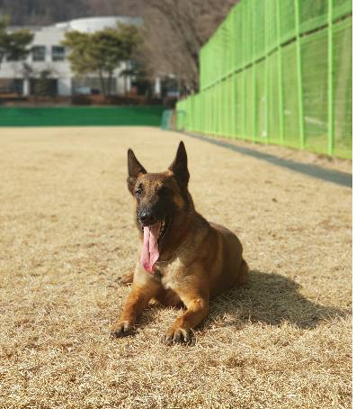 소방청 제공