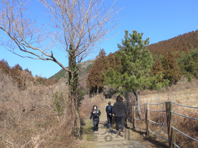 물영아리 오름을 찾은 방문객들이 산책로를 걷고 있다.