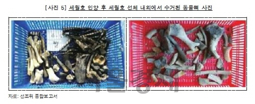 세월호 인양후 선체 내외에서 수거된 동물뼈[감사원 제공] /연합뉴스