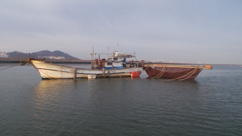 실뱀장어 불법 조업 어선/군산해양경찰서 제공