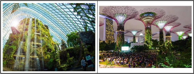 싱가포르 가든스바이더베이의 대표적인 시설인 세계 최대 온실 클라우드 포레스트(왼쪽)과 매일 밤 웅장한 클래식 음악과 화려한 경관조명으로 유명한 수퍼트리 그루브쇼./사진제공=부산시설공단