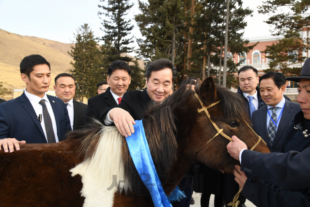 이낙연 총리가 26일(현지시간) 울란바토르 영빈관에서 우흐나 후렐수흐 몽골 총리로부터 선물 받은 말을 쓰다듬고 있다 이 총리는 말에게 ‘솔롱고(무지개)’란 이름을 지어줬다./사진제공=총리실