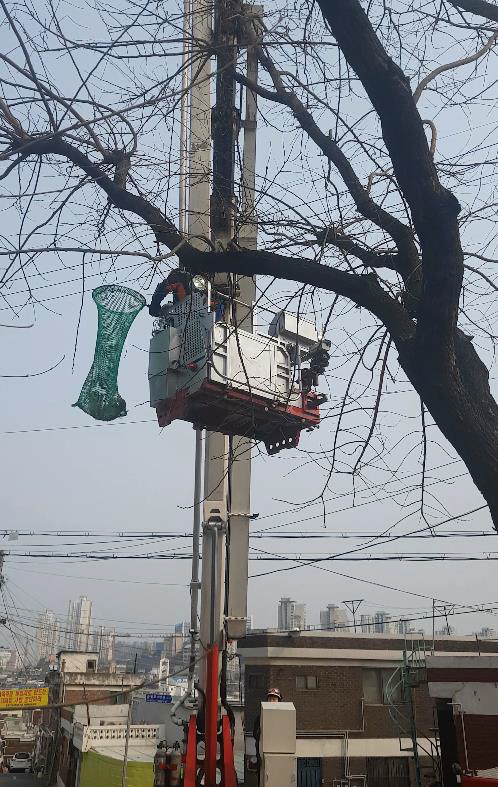 나무에 매달린 길고양이 구조하는 소방관/인천 중부소방서 제공