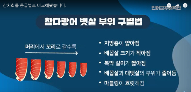 인어교주해적단이 만든 ‘참치회를 등급별로 비교해봤습니다’ 영상 중 뱃살 부위 구별법 소개 장면/유튜브 캡처