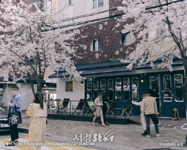 당인리 발전소길의 벚꽃/사진=신한카드 블로그