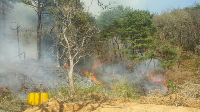 2일 오후 3시 18분께 부산 해운대구 반송동에 있는 운봉산에서 화재가 발생해 나무들이 불타고 있다.    /부산=연합뉴스