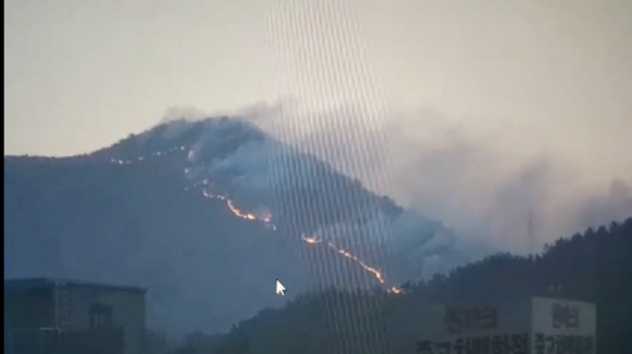 3일 오전 6시 부산 해운대 운봉산 산불 현장./사진제공=부산경찰청