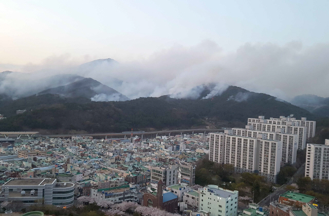 확산되는 해운대 산불 / 연합뉴스