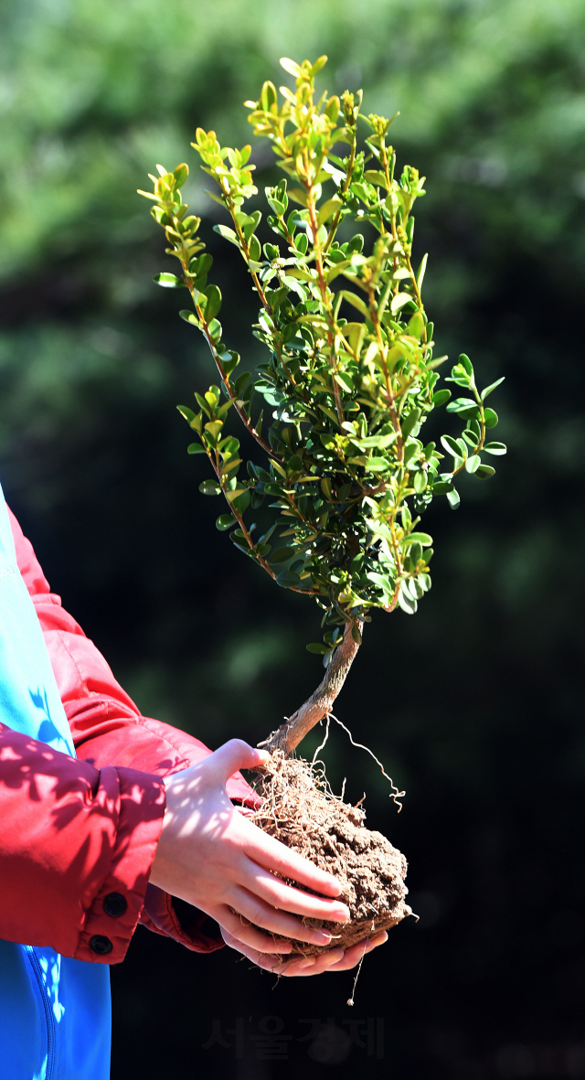 나무는 생명이다. 식목일을 하루 앞둔 4일 서울 용산구 서빙고 근린공원에서 한 어린이가 묘목을 심고 있다. 용산구는 식목일 행사에 그치지 않고 4월을 '식목월'로 지정, 나무 심기 캠페인을 이어간다./오승현기자 2019.4.4