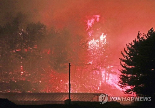 4일 발생한 고성 산불 / 사진=연합뉴스