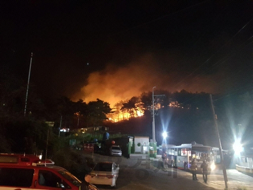 해운대 운봉산 산불 재발화/연합뉴스