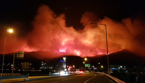 정부, 강원도 산불 발생지역 재난사태 선포로 총력대응