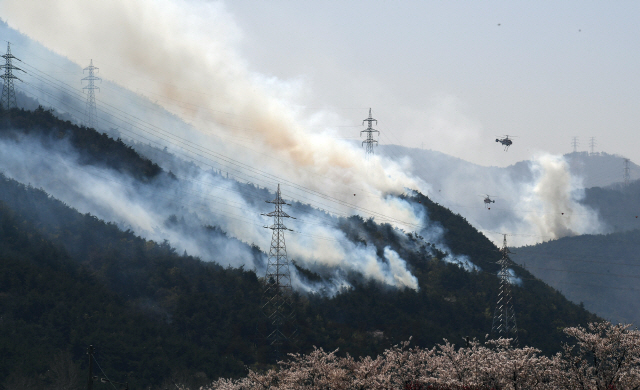 5일 강원도 강릉시 옥계면에서 소방·군·산림청 헬기가 산불 진화에 안간힘을 쓰고 있다../강릉=오승현기자 2019.4.5