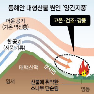 0615A02 산불 원인