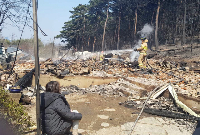 5일 강원 강릉시 옥계 일대 산불로 피해를 입은 한 주민이 현장을 바라보고 있다. /사진제공=강원도소방본부