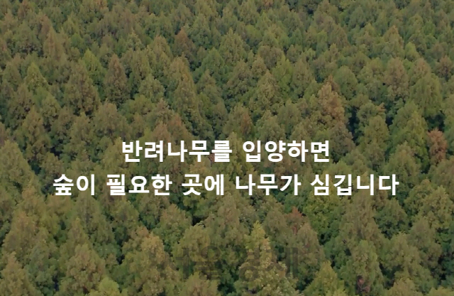 트리플래닛 홈페이지에서 “반려나무를 입양하면 숲이 필요한 곳에 나무가 심”긴다고 광고하는 모습/트리플래닛 홈페이지