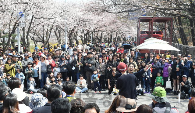 휴일인 7일 서울 여의도 윤중로 일원에서 열린 '2019 영등포 여의도 봄꽃축제'를 찾은 많은 나들이객들이 벚꽃길을 걸으며 완연한 봄을 즐기고 있다./오승현기자 2019.4.7