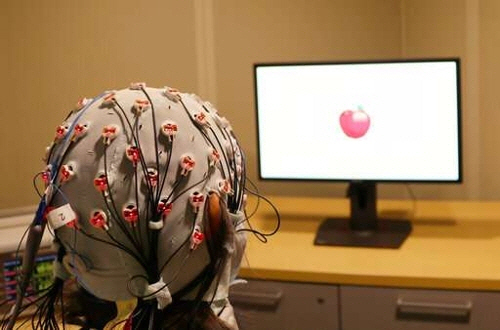 미국 보스턴대 연구팀이 머리에 붙인 전극을 통해 뇌를 자극, 작업기억이 향상되는지를 시험하고 있다. /연합뉴스