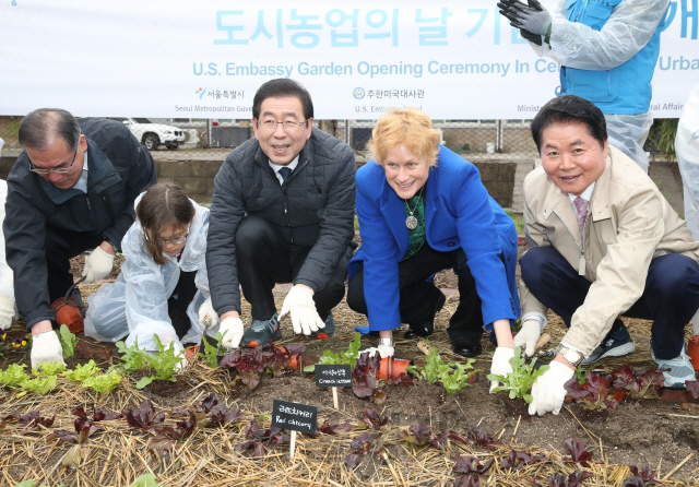 김병원(오른쪽 첫번째) 농협중앙회장이 10일 주한 미국대사관 관저에서 열린 ‘도시농업의 날’ 기념 행사에서 박원순(가운데) 서울시장, 이개호(왼쪽 첫번째) 농림축산식품부 장관 등과 행사장에서 농작물을 심고 있다./사진제공=농협