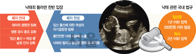 낙태죄 둘러싼 찬반 입장/서울경제DB