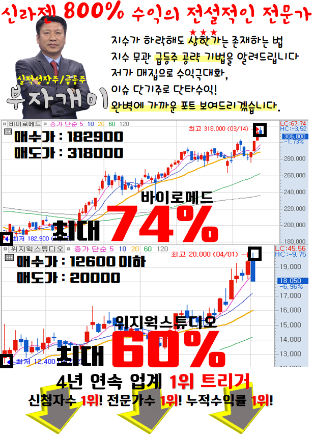 이슈로 분석한 급등종목