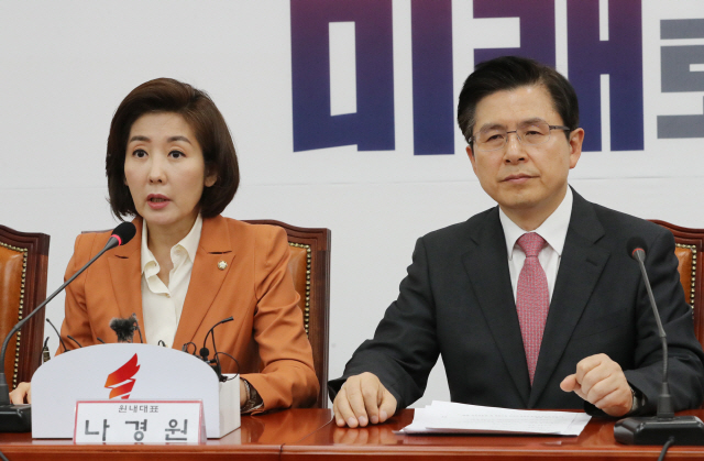 나경원 '민주당은 靑 여의도사무소…친문 모시기 급급'