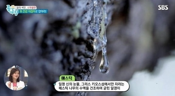매스틱/사진=SBS ‘좋은 아침’ 화면 캡쳐