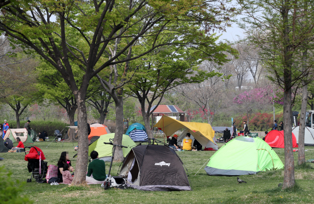 21일 서울의 한강공원에 많은 시민들이 텐트를 쳐 놓고 휴일을 즐기고 있다. 서울시는 무분별한 텐트 설치를 막고 쓰레기를 줄이기로 하는 등 전반적인 한강공원 관리 강화에 나선다. /연합뉴스