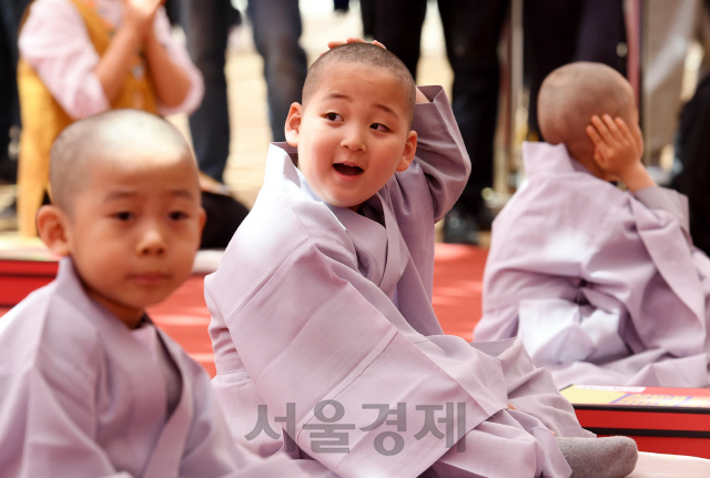 22일 서울 종로구 조계사 대웅전 앞 마당에서 열린 보리수 새싹학교 동자승 단기출가 삭발수계식에서 한 동자승이 삭발을 마친 후 어색한 듯 머리를 만지고 있다./권욱기자 2019.04.22