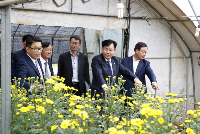 김경규(오른쪽 두번째) 농진청장이 23일 충남 예산에 있는 화훼농장을 살펴보고 있다. /사진제공=농진청