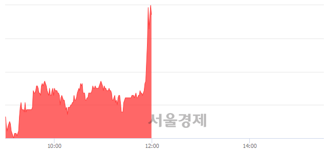 <코>씨트리, 매도잔량 454% 급증